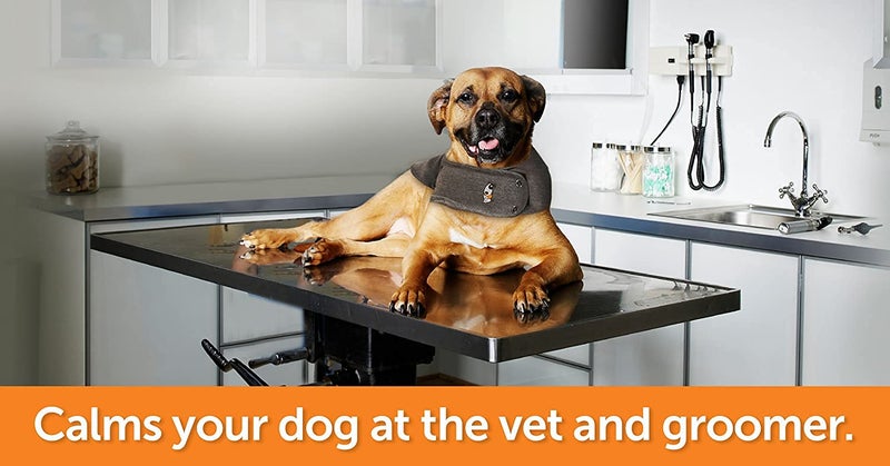 Thundershirt Dog Jacket for Anxiety, Green,Extra Extra Small - Image 4